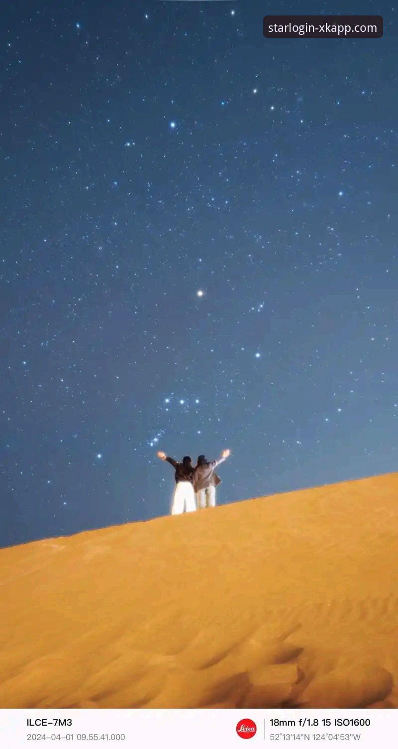 星空APP官网数据安全登录与使用全教程：从入口到安心畅游